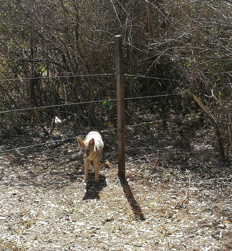 Monasterio Santa Maria en la Santisima Trinidad-梅洛必去景点