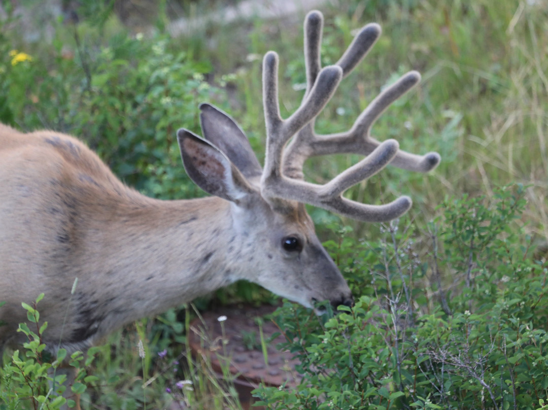 信号山旅馆主图