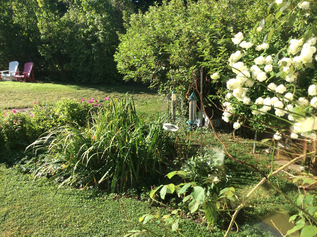 Harbourview Inn主图