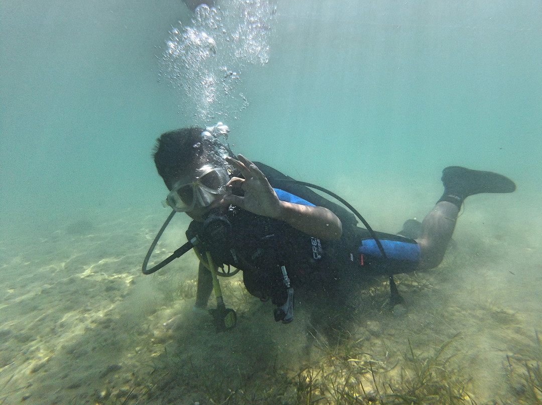 Aquaholics Diving Center景点图片