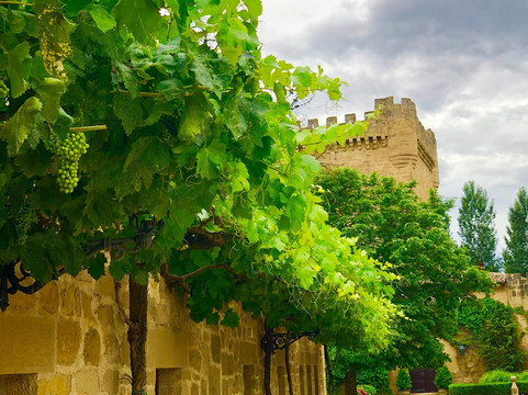 Castillo de Cuzcurrita Wine Cellar-Cuzcurrita de Rio Tiron必去景点