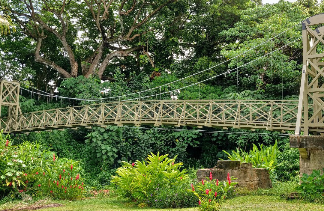 Kapaia Suspension Bridge景点图片