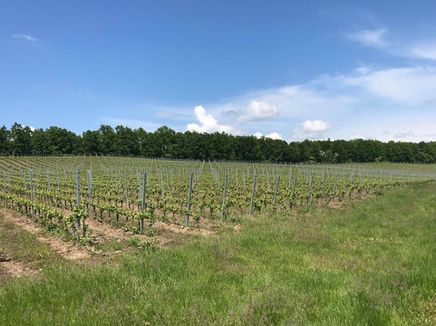 Carastelec-Salaj County必去景点