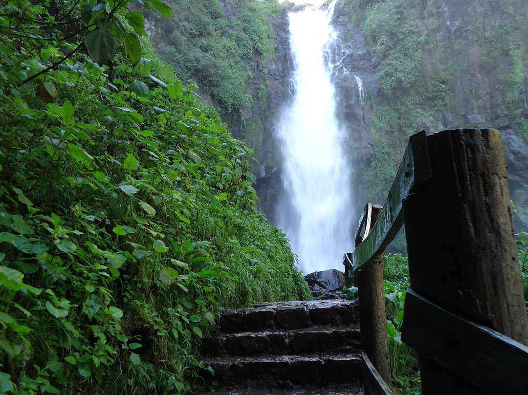 Cascadas Tuliman景点图片