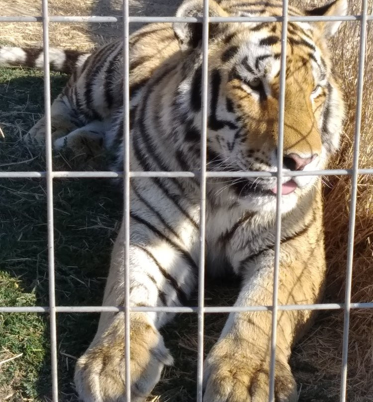 Ippokamilos-Sageika必去景点