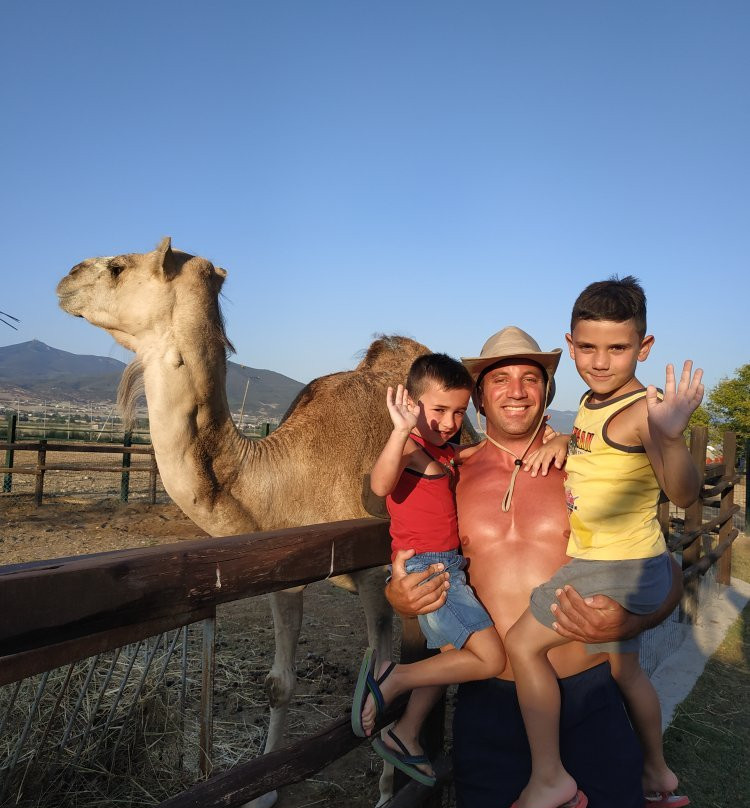 Waterland-塞萨洛尼基必去景点