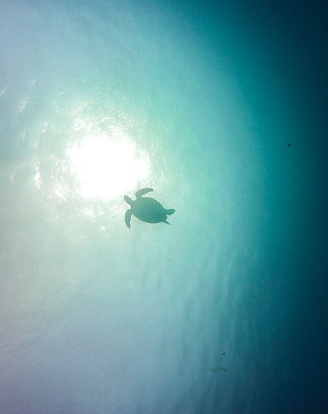 Gili Islands Divers景点图片