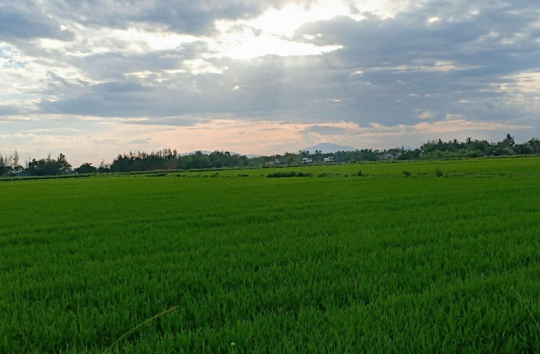 Lua Hoi An Villas主图
