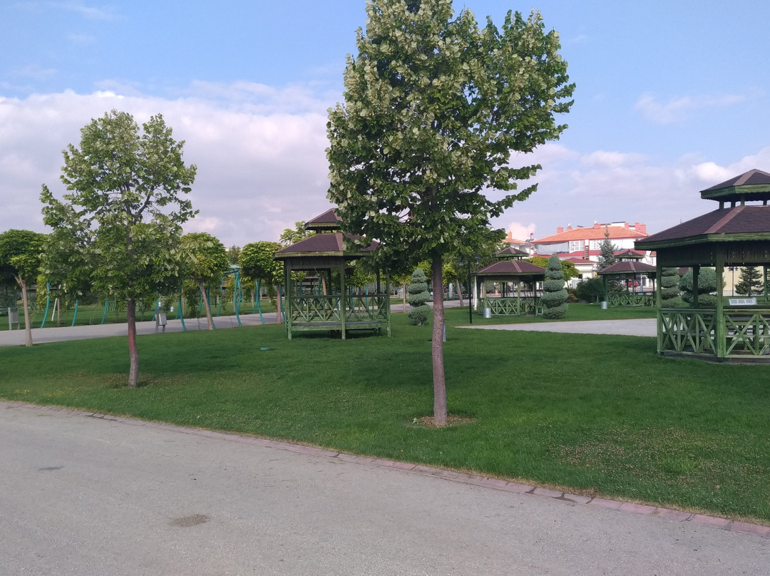 Olimpiyat Parki景点图片