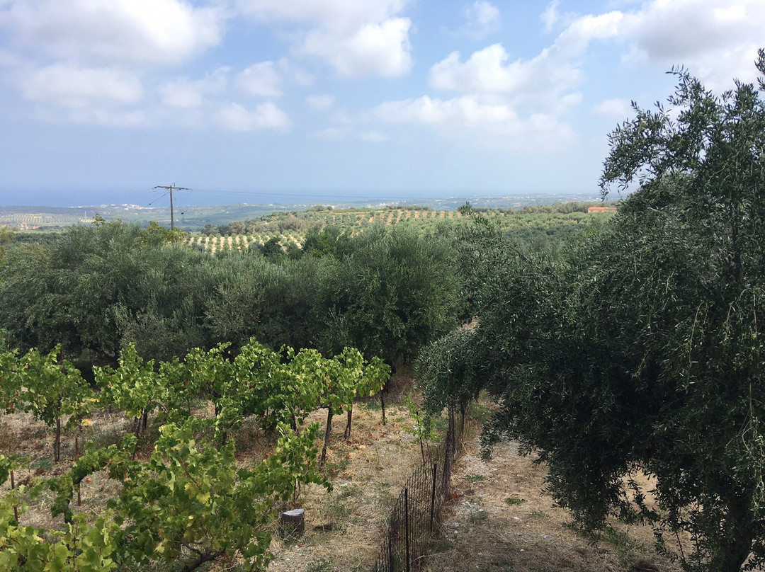 Yellow Train Rethymno Day Excursions-雷斯蒙必去景点