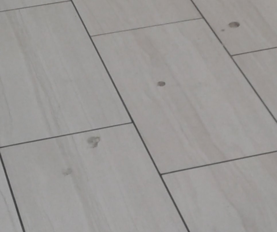 Holiday Inn Express & Suites - San Marcos South