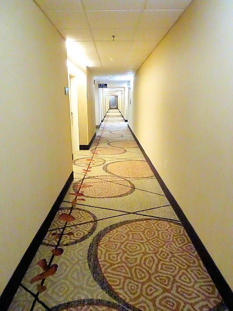 Hampton Inn Selma主图