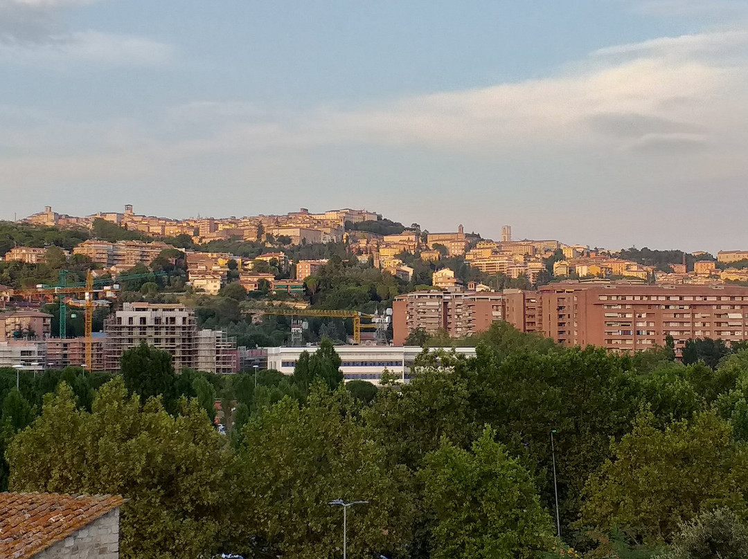 Stadio Renato Curi-佩鲁贾必去景点