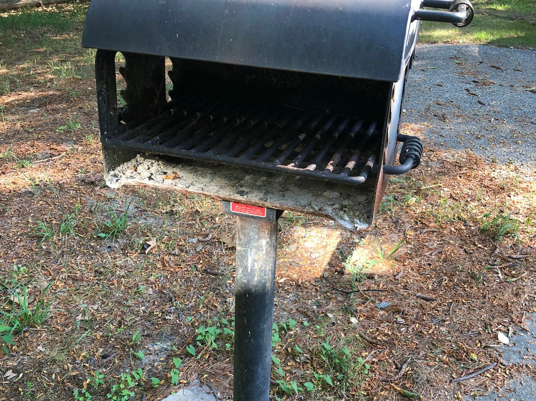 Ludington State Park-拉丁顿必去景点