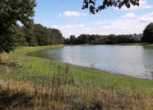 Vioreau Pleine Nature-Joue-sur-Erdre必去景点