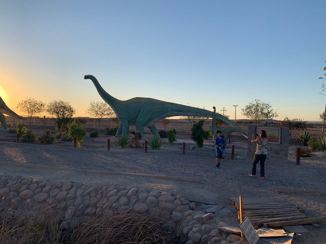 Valle de Los Dinosaurios-Pica必去景点