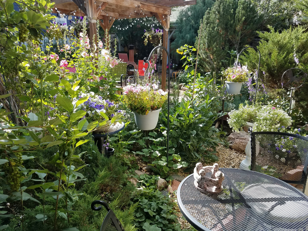 The Courtyard Country Inn主图