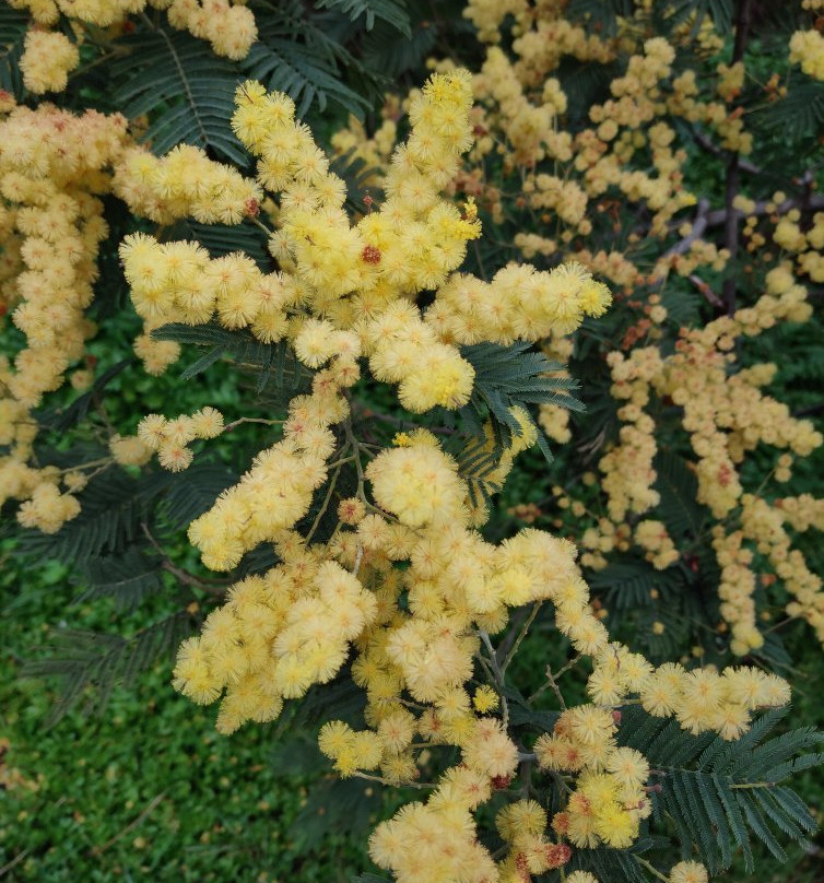 Quebrada de Cordoba-El Tabo必去景点