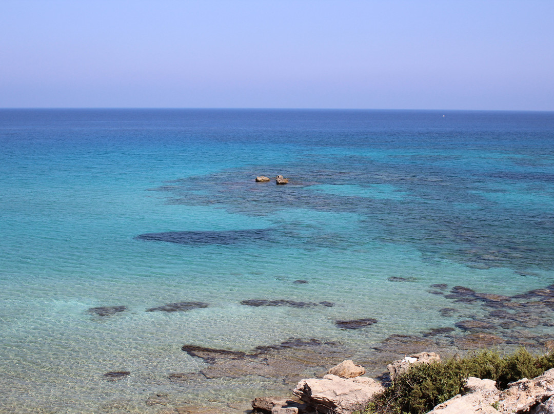 Sea Bird Motel主图