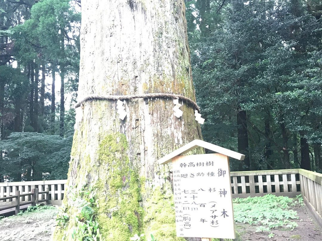 雾岛神宫景点图片