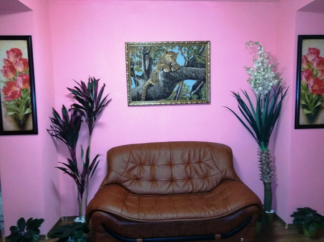 Safari