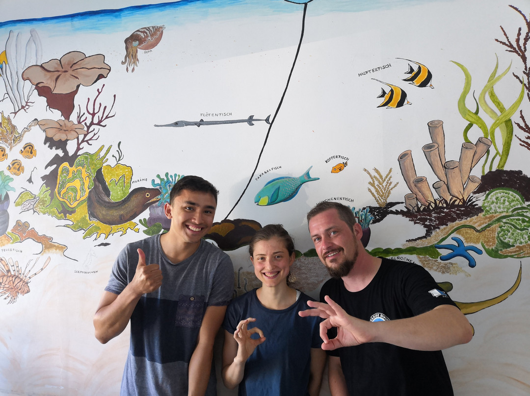Paradise Diving Bali - Deutsche Tauchschule-登巴萨必去景点