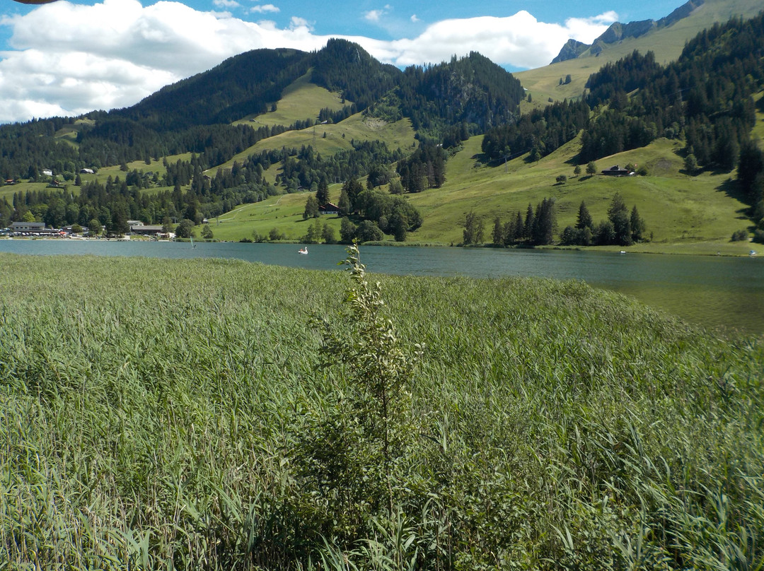 Schwarzsee Lac Noir景点图片