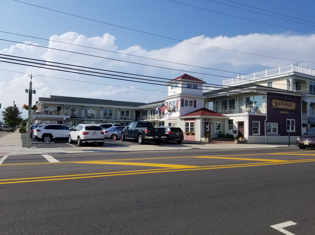 Cape May County旅游攻略图片