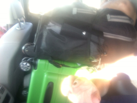 Civitavecchia Shuttle Express - Transfer & Tour-罗马必去景点