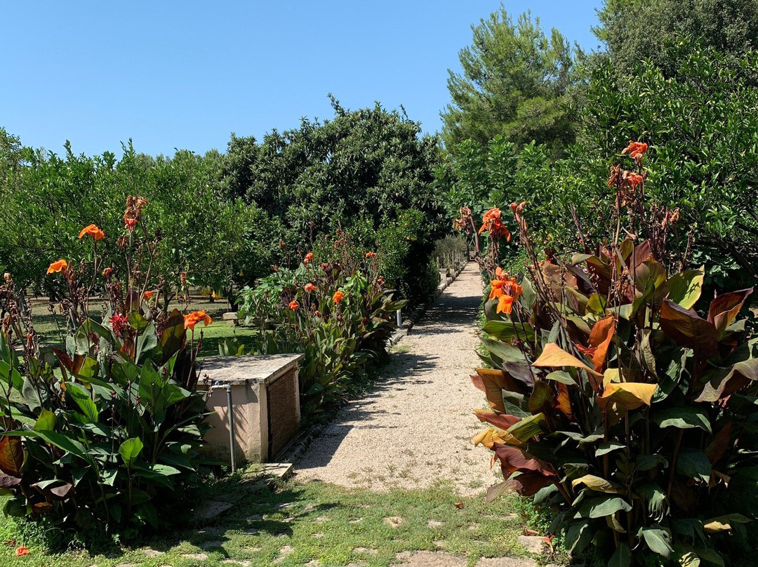 Salento. Il Giardino in Piazza