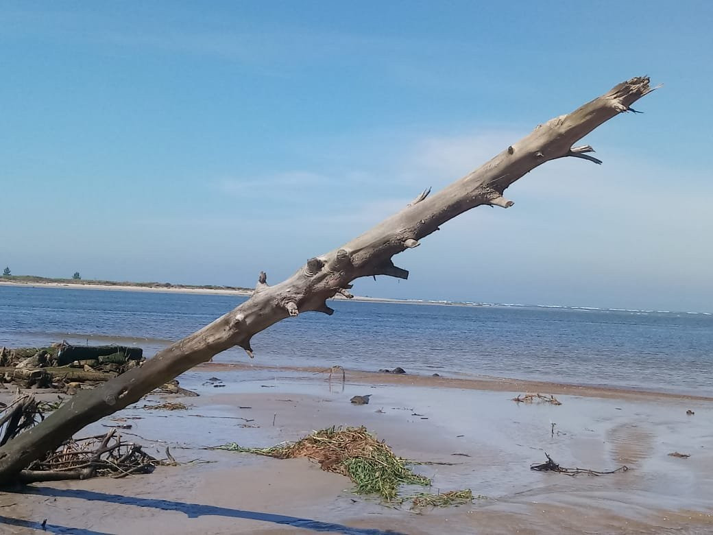 Leste Beach (Icapara)景点图片