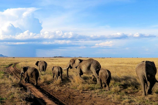 Safirify-蒙巴萨必去景点