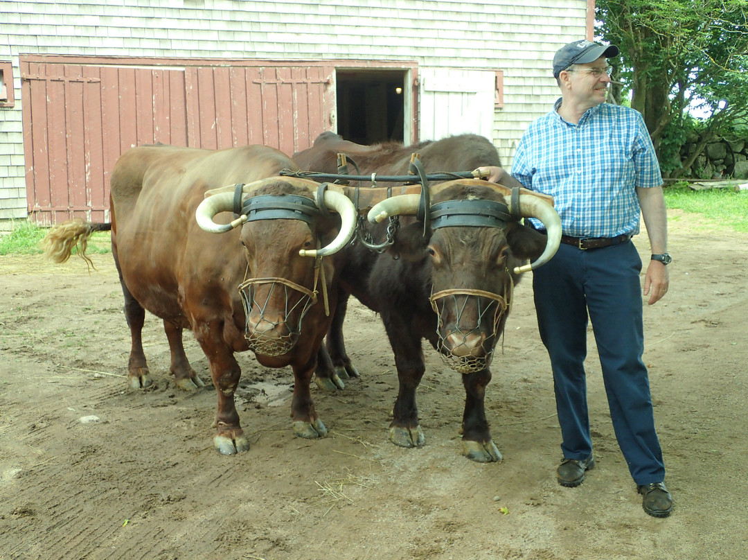 Ross Farm Museum-New Ross必去景点