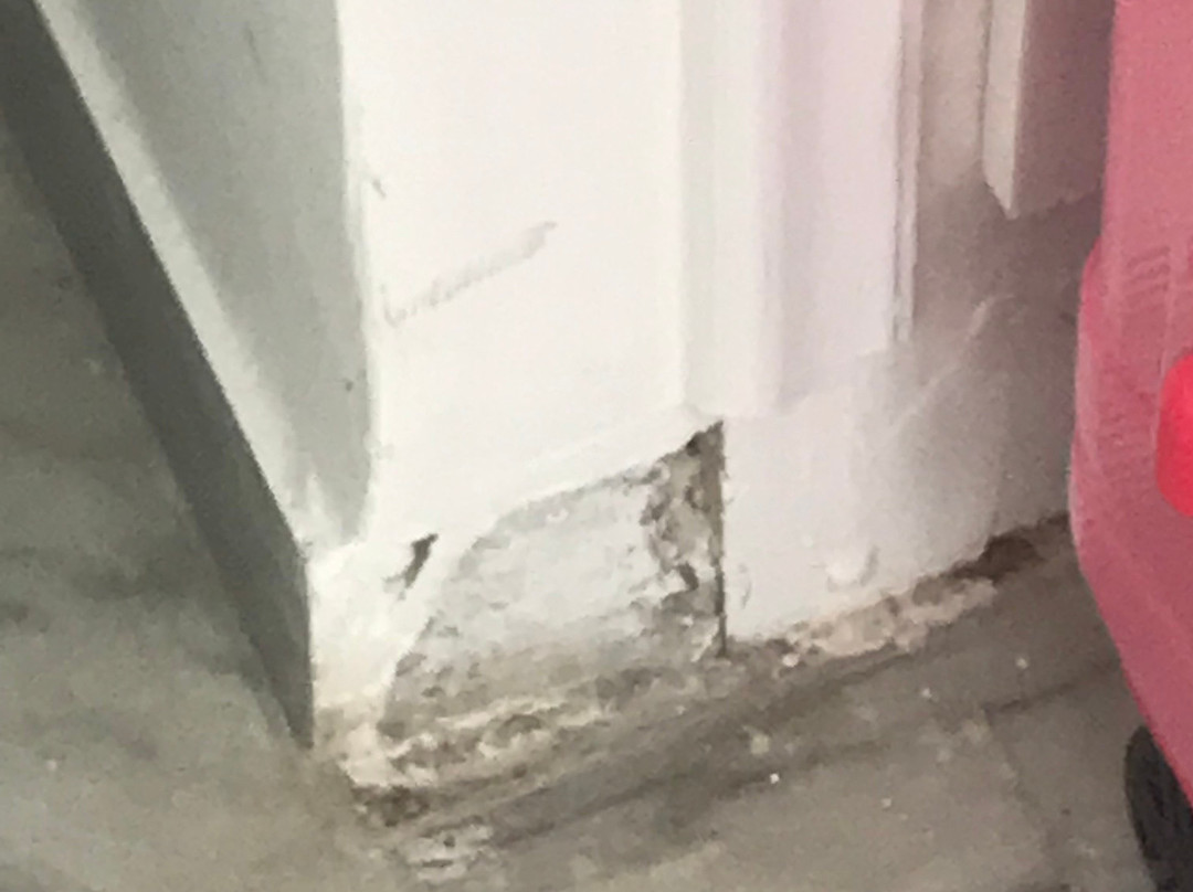 Paradiso Resort主图