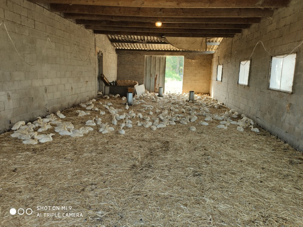 La Ferme de Michaumaille景点图片