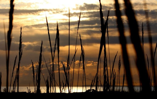 Iona Beach Regional Park景点图片