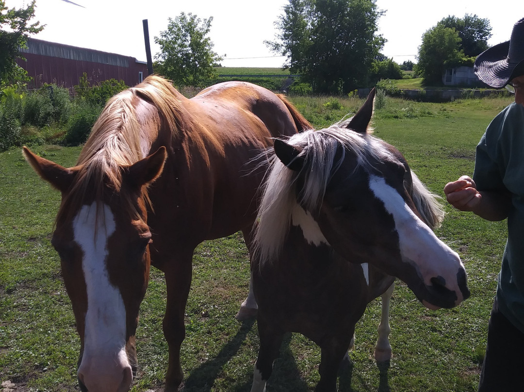 Cranberry House主图