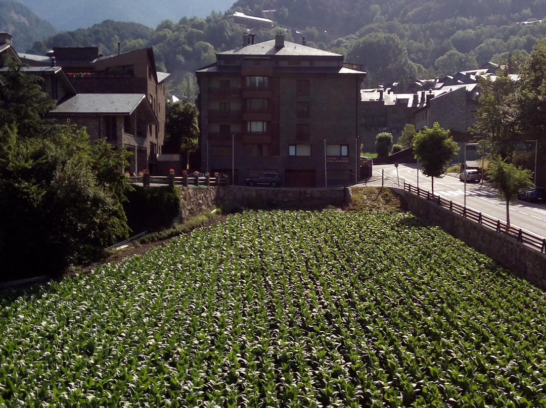 Hotel La Planada主图