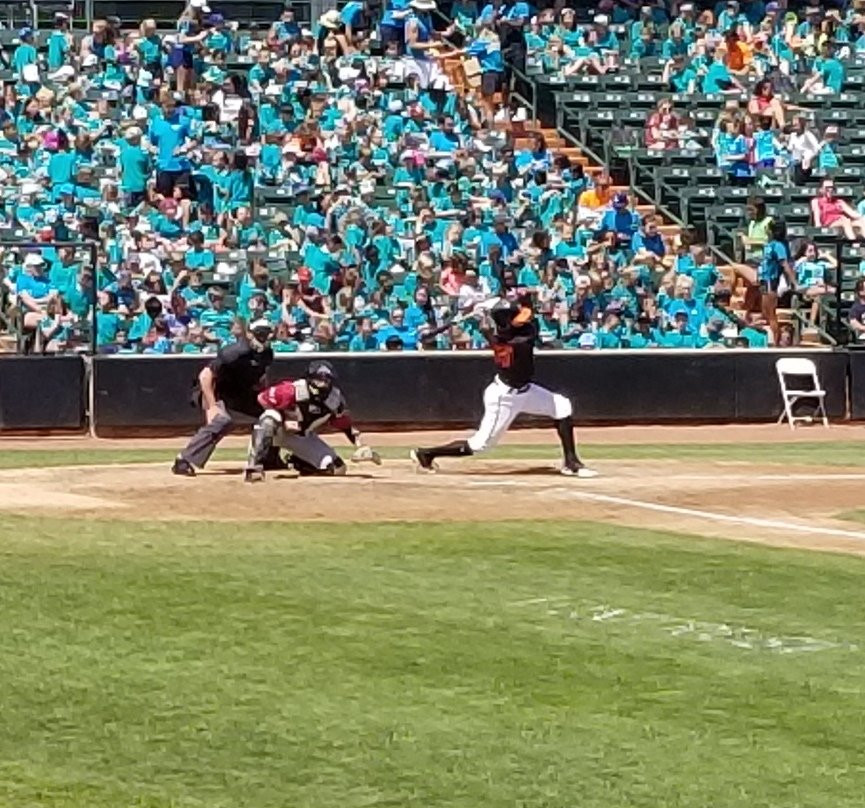 Schaumburg Boomers Stadium景点图片