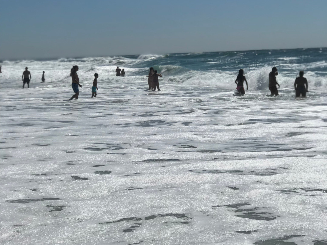 Praia dos Palheiros da Tocha景点图片