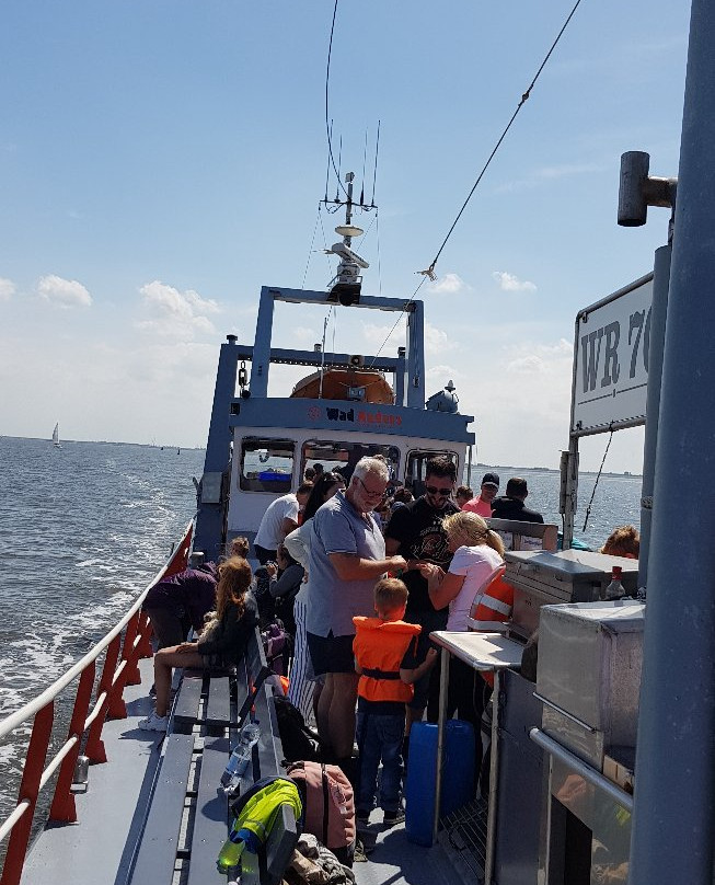 De Zee Leeft-Den Oever必去景点