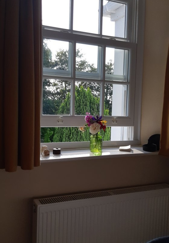 Bideford Beehives B & B主图