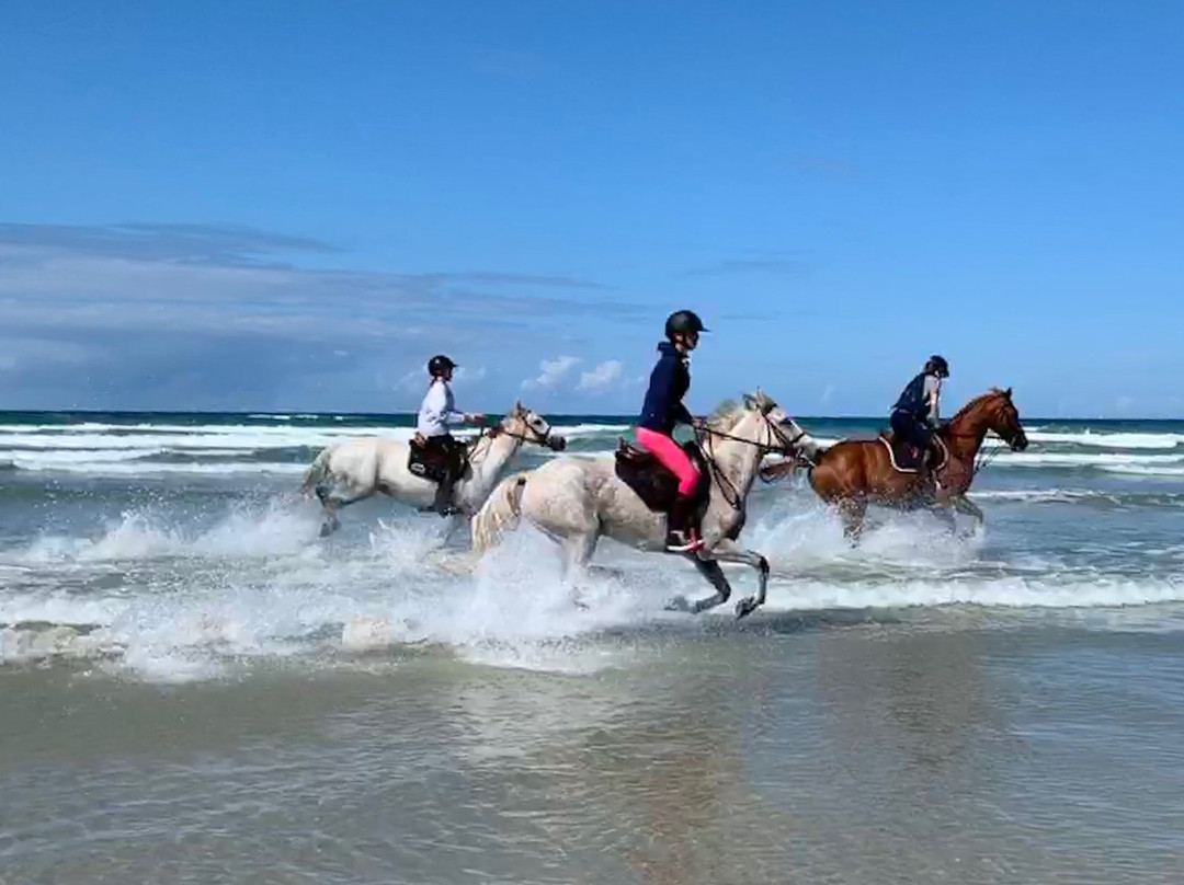 Kermabec Beach-Treguennec必去景点