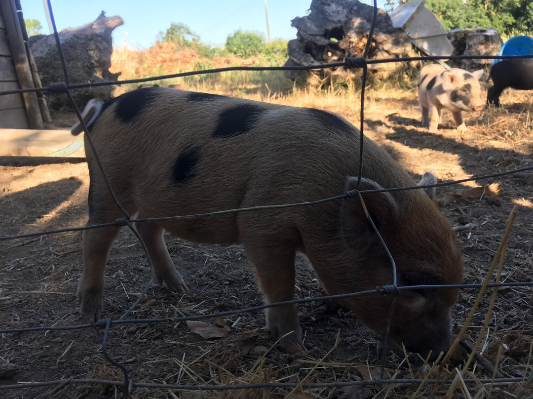 La Ferme du Marais Poitevin主图