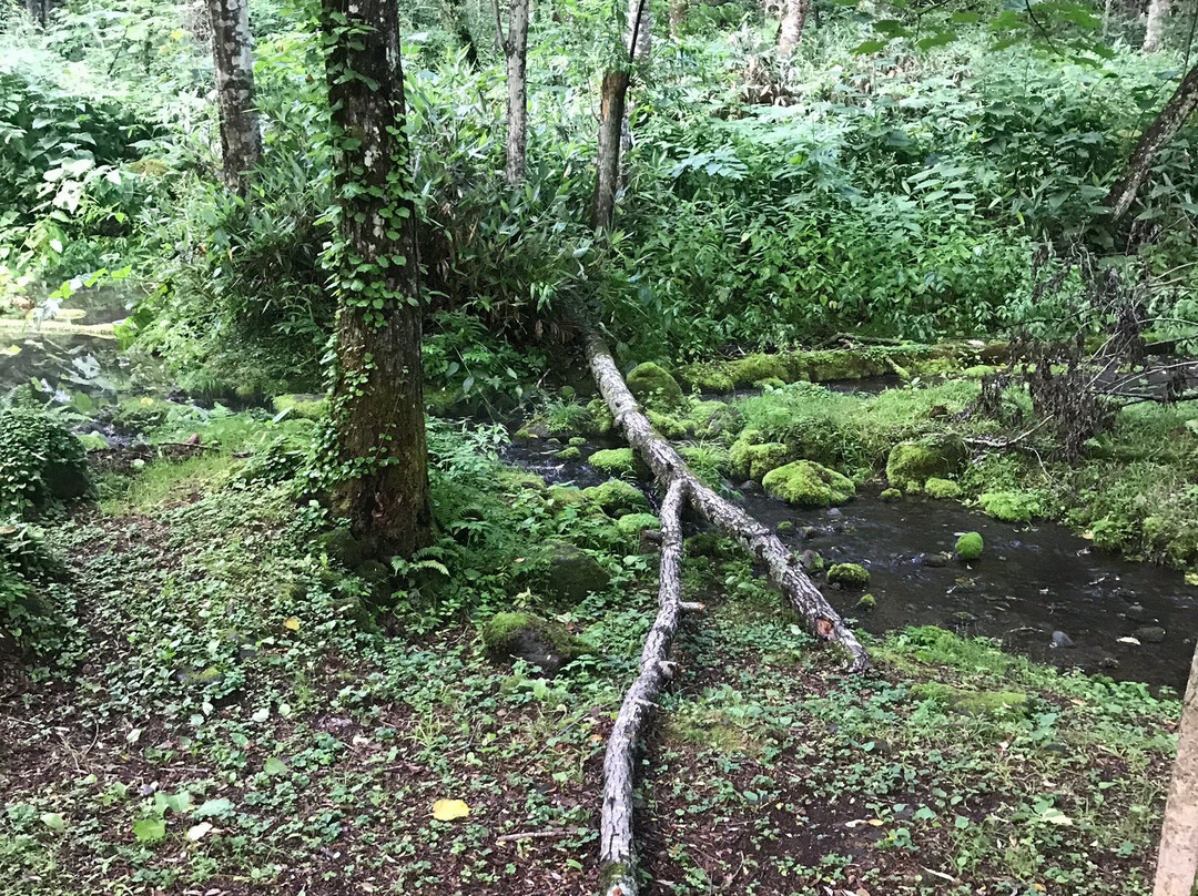 Taisetsu Asahidake Gensui-东川町必去景点