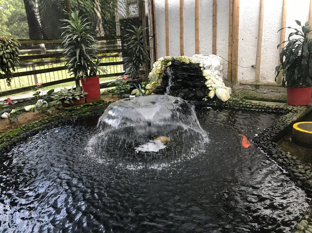 Parque Consota-佩雷拉必去景点