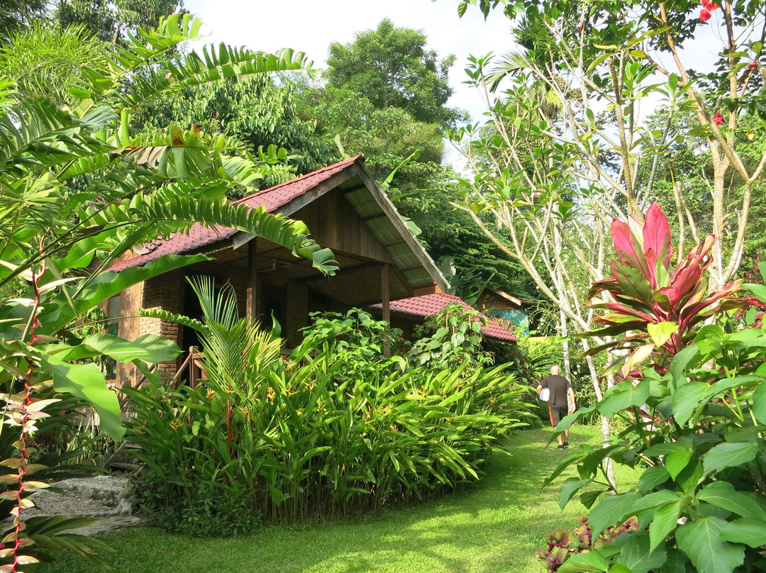 Thousand Hills Ketambe主图