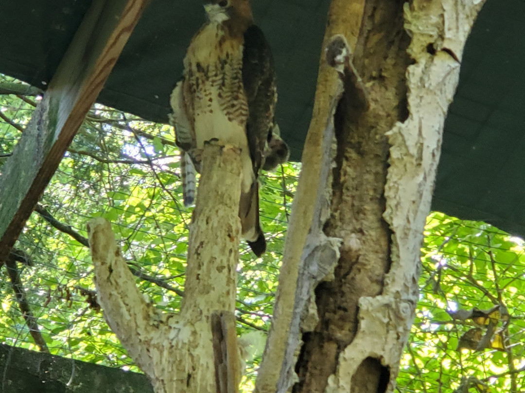 ZooAmerica North American Wildlife Park-好时镇必去景点