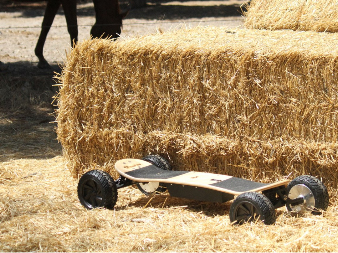 Algarve Fat Wheels-法罗必去景点