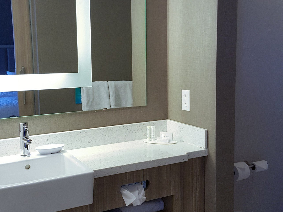 Springhill Suites by Marriott Chattanooga North/Ooltewah主图